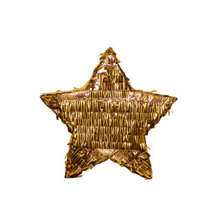 Pinjata Zvezda